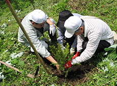 植樹祭