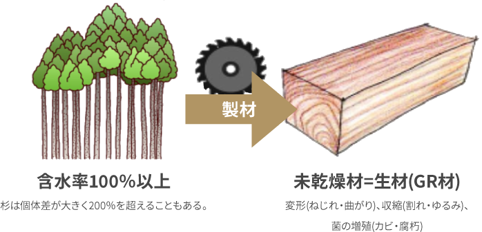 製材直後の木材は含水率が100％を超えるものが多い